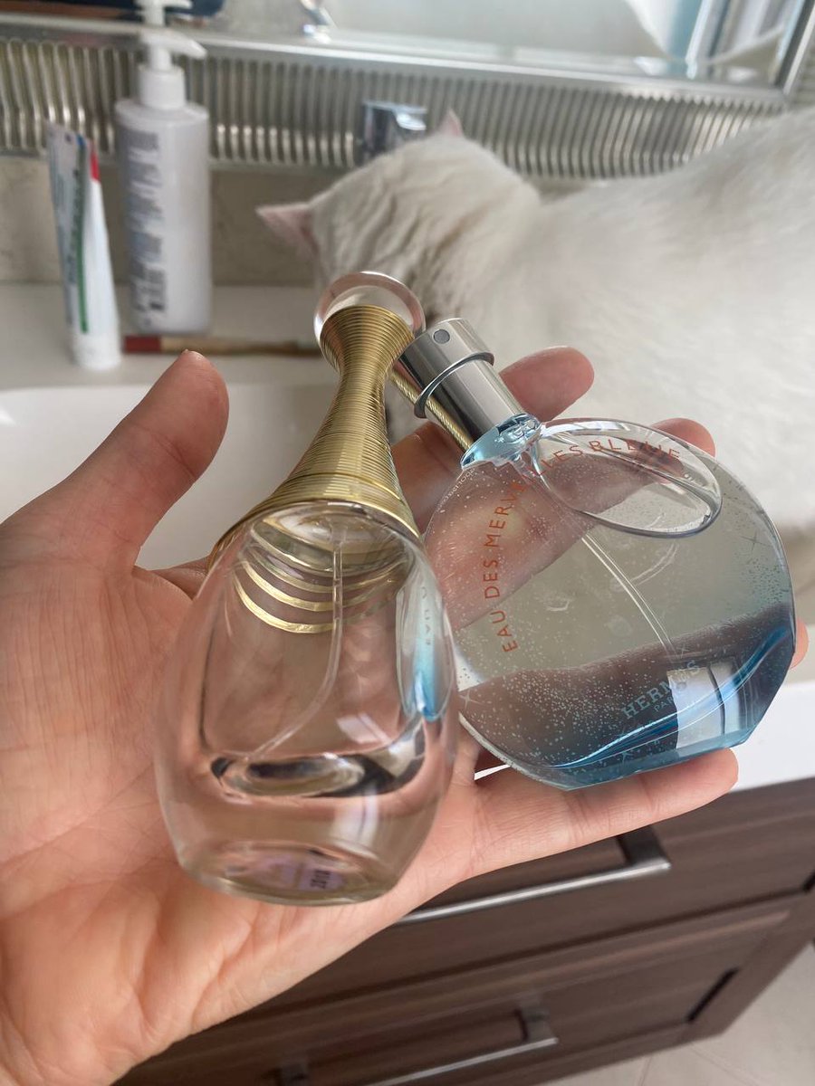 Daria Maksymova tweet media