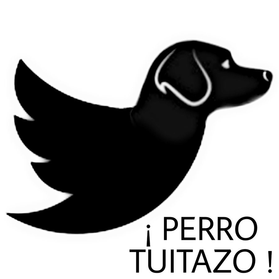 CQASAR's tweet photo. @Mussollinni @JoseCarrillo54 @LauraMex @XochitlGalvez Me lo robó https://t.co/nPt96KoMjU