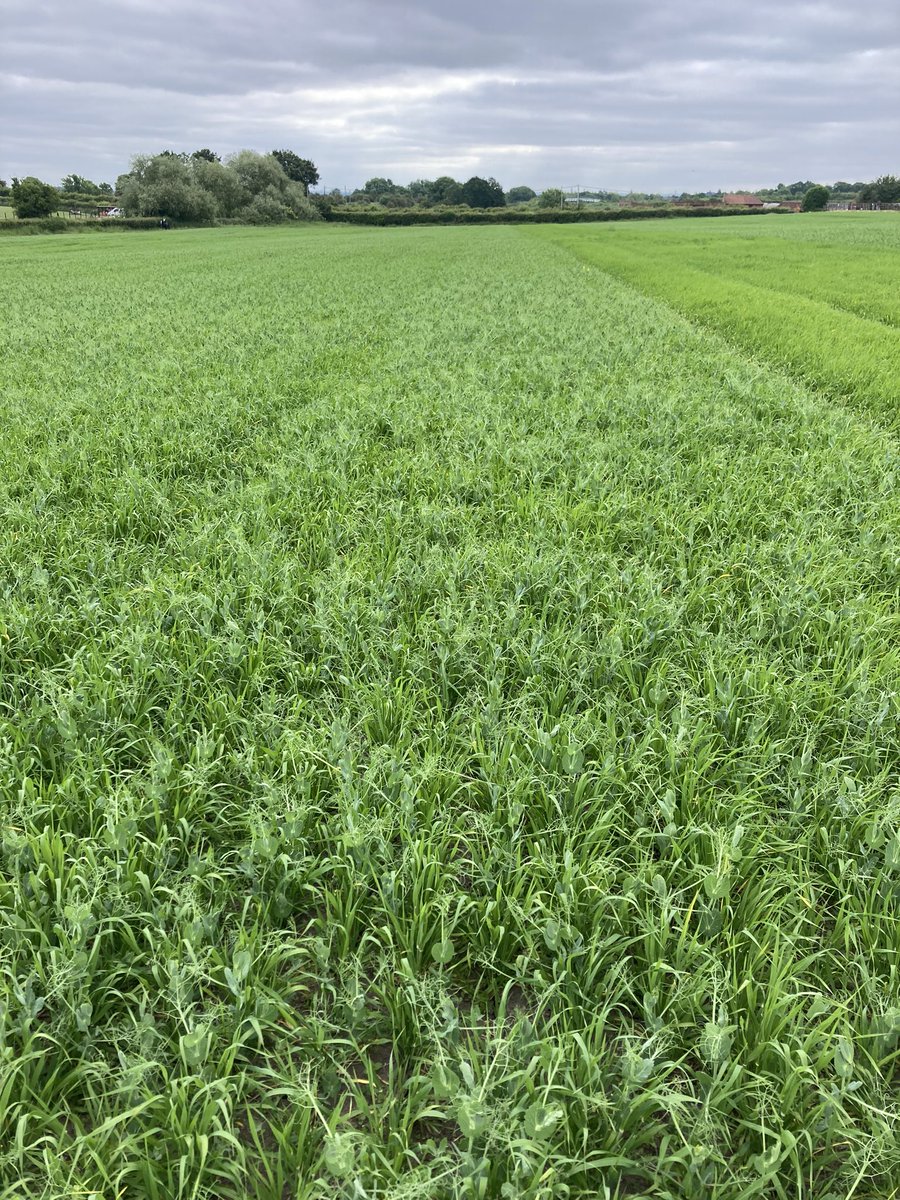 Joe Fisher tweet media