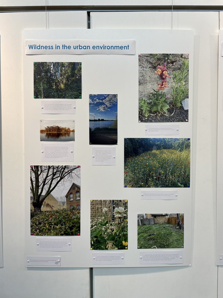 If you’re in the area, do pop into the fab @bluegreenE17 exhibition in Lloyd Park this weekend. There are residents’ reflections on wildness in Walthamstow (including mine!), plus big and small ideas for how to make it wilder!