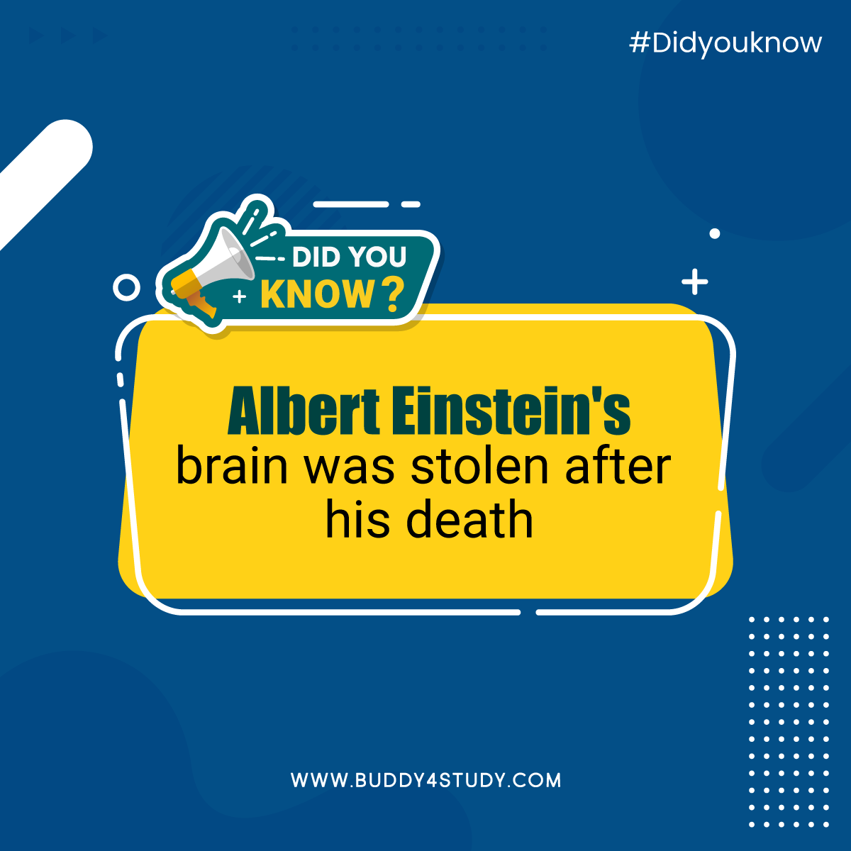 Buddy4Study's tweet photo. A pathologist named Thomas Harvey stole Einstein's brain after his death. Surprisingly, Einstein's family did not press charges.
#DidyouKnow #Lesserknownfacts #AlbertEinstein #BrainTheft #ScientificCuriosity #Buddy4Study https://t.co/CCS9DPWNW3