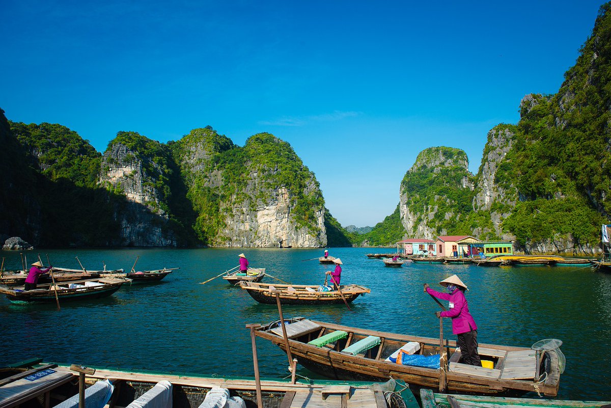 TriangleTravel's tweet image. 🗺12 night Vietnam Tour with Qatar Stopover
💳Prices from £1999 per person, saving up to £446 per person 
🗓Travel 10th September 2023 

🗺9 night Vietnam your Way Hanoi - Breakfast
🌴3 night Souq Waqif Boutique Hotels by T - swiy.co/EeR4