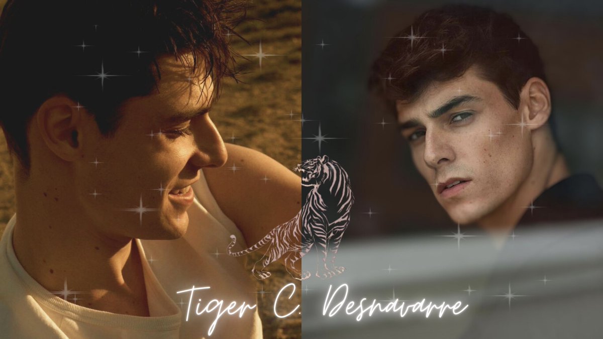 Someone once said they liked me when I smiled.

Tiger C. Desnavarre