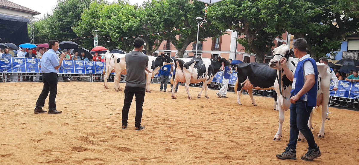 Irun_informa's tweet photo. 🐄 🎶 Uztailak 1, larunbata #Irun|en. Jaiak amaitzear! 

Último día de fiestas que empieza siempre en #Urdanibia y acaba con una jornada llena de actividades. 🎇 😌

🖇️ https://t.co/rpKd66gN7A https://t.co/nett58ECYA