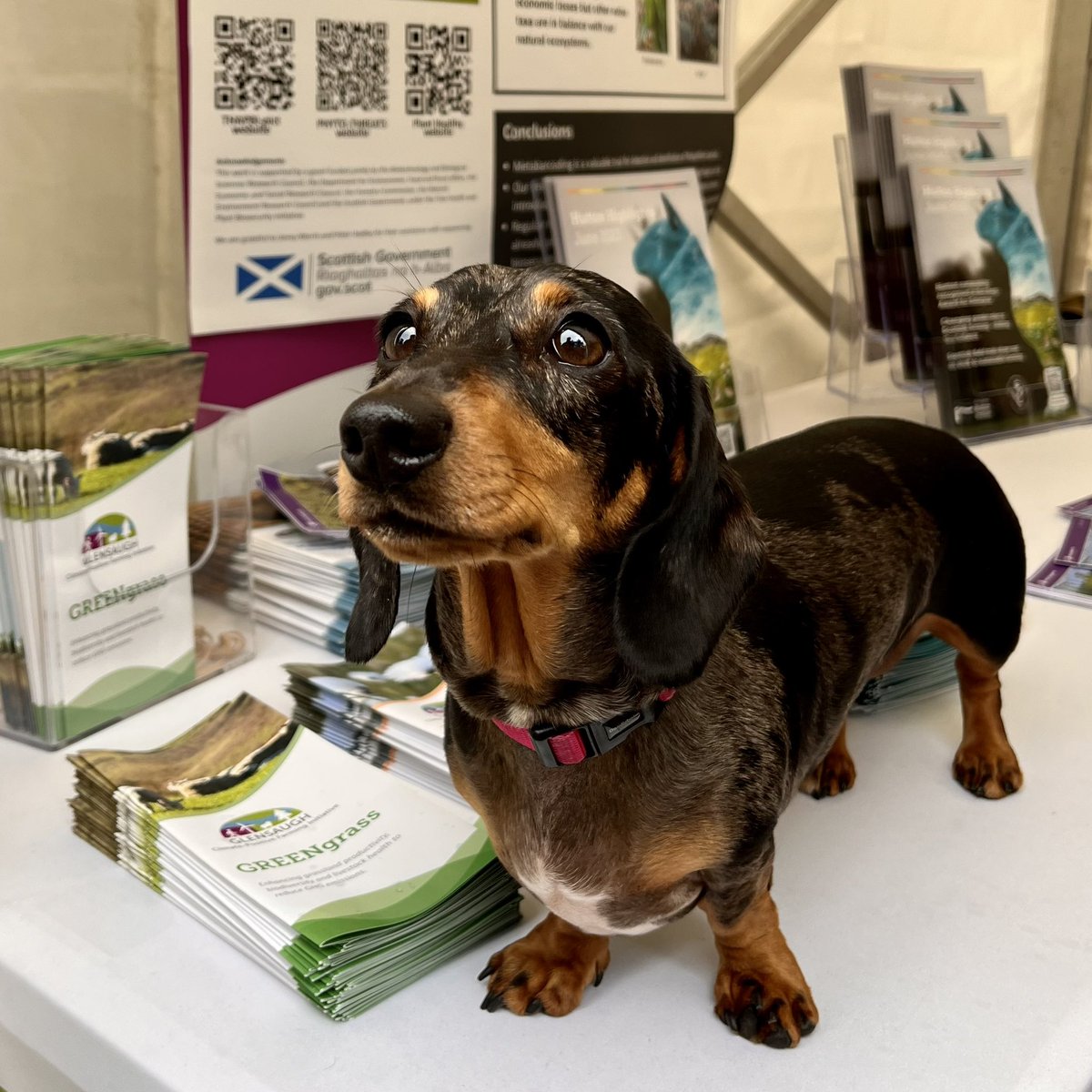 James Hutton Institute tweet media