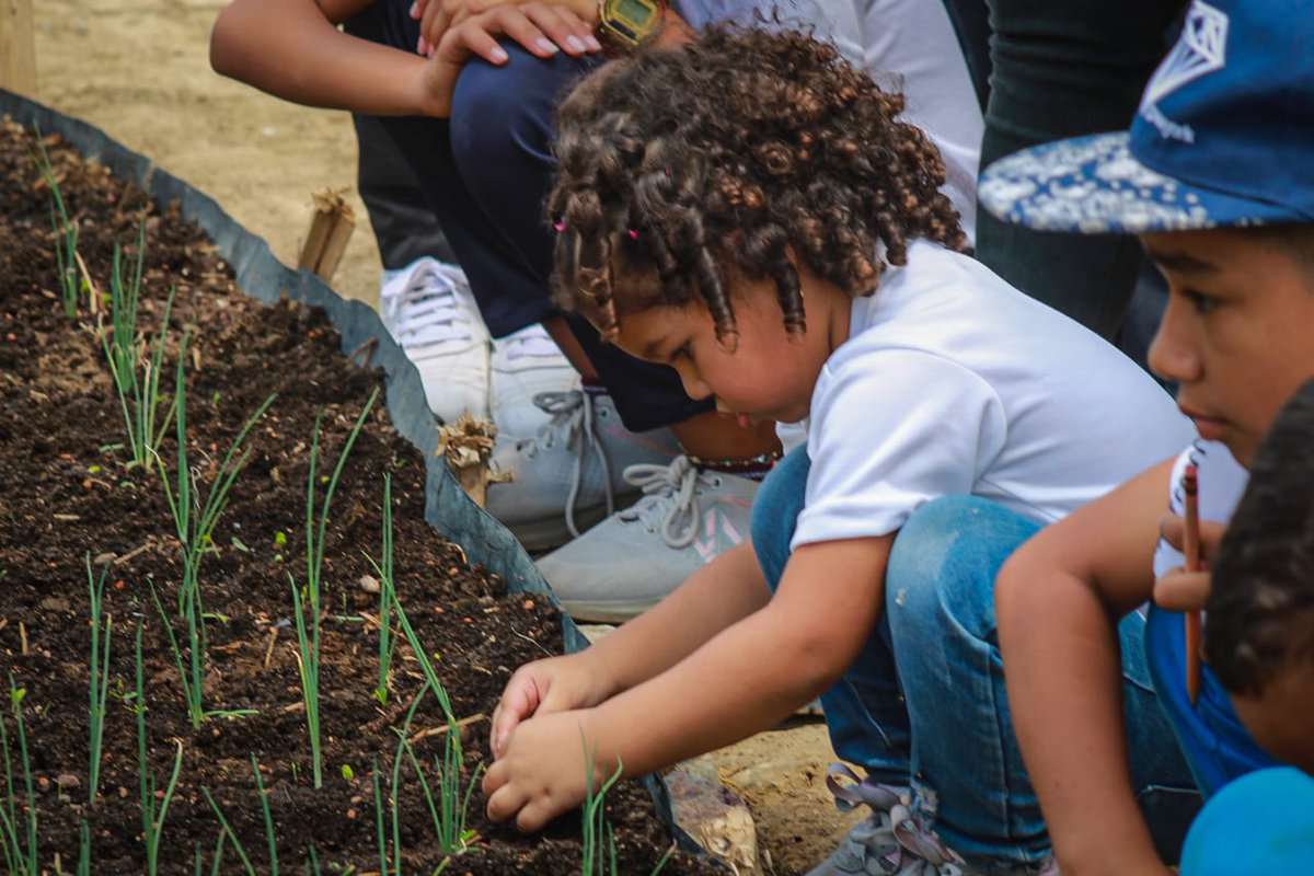 Gabrielasjr's tweet photo. El Semillero Científico anda por Quíbor estado Lara, recorriendo experiencias donde el encuentro con los conocimientos y la naturaleza nos conectan con la vida. Educar para la vida, promover la imaginación y la inventiva. 

Orientamos vocaciones tempranas para hacer #CienciaParaLaVida