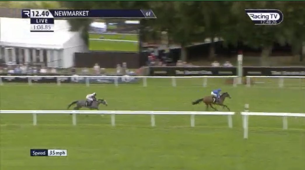 shadowpunt's tweet image. STAR OF MYSTERY BOLTS UP! 💥💸