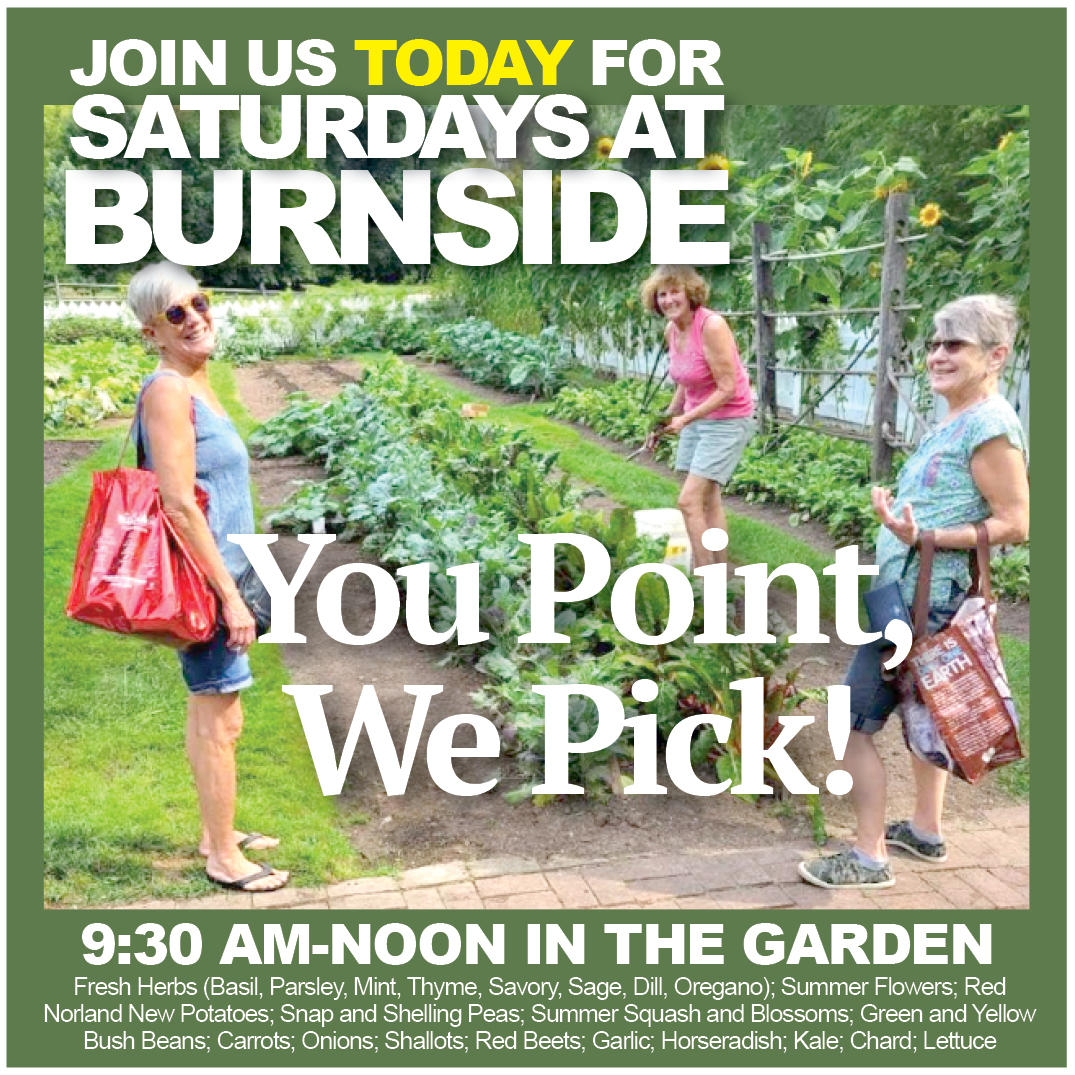 HistoricBeth's tweet photo. Join us TODAY from 9:30 to noon for Saturdays at Burnside. Family fun, barn tours, and "You Point, We Pick" at the Colonial Garden. Herbs; Flowers; Potatoes; Peas; Summer Squash; Bush Beans; Carrots; Onions, and more. See you at 1461 Schoenersville Rd. https://t.co/Zz5mGOh1P5 https://t.co/srJwZoklnP