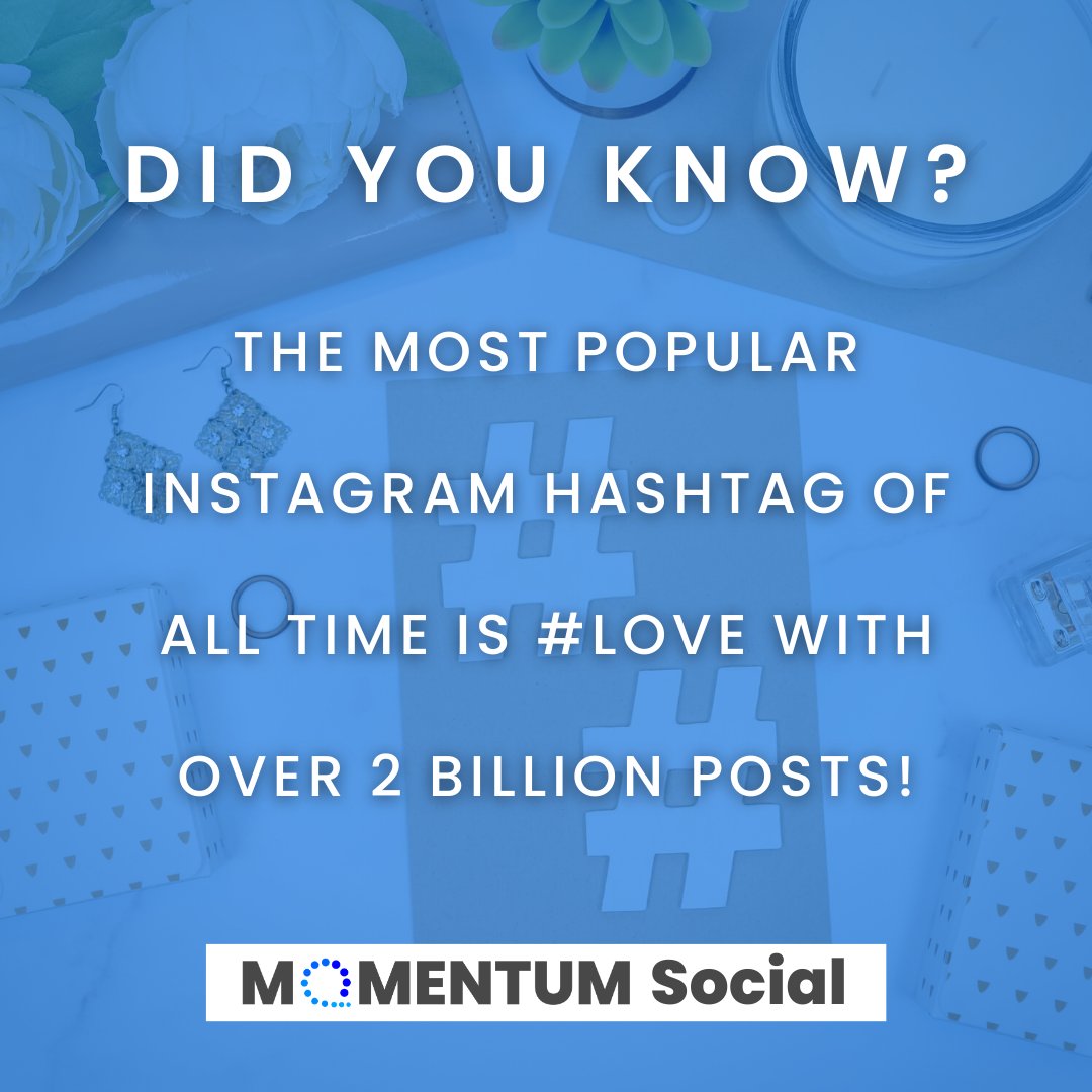 MOMENTUM Social tweet media