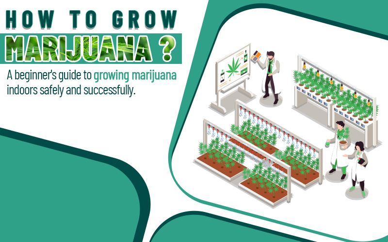 Gardening can be a fulfilling and enjoyable hobby that allows you to connect with nature and cultivate beautiful flowers, vegetables, or herbs. Visit here : greenpotmd.com #cannabisresearch #cannabisscience #munchies #worms #medicalcannabis #cbd #thc #grow #marijuana