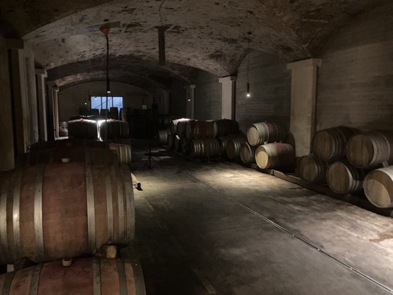 SocratesCrete's tweet image. After the knowledge sharing sessions on the software making craft, time to learn about the #wine making craft at the #Manousakis #Cretan winery, all courtesy of our most loyal sponsor, @cytechltd ! 🍷