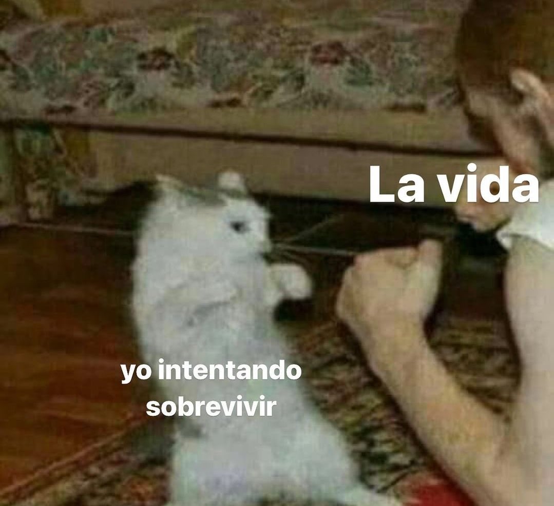 skereunpesado's tweet photo. https://t.co/2WsYtaXJR3