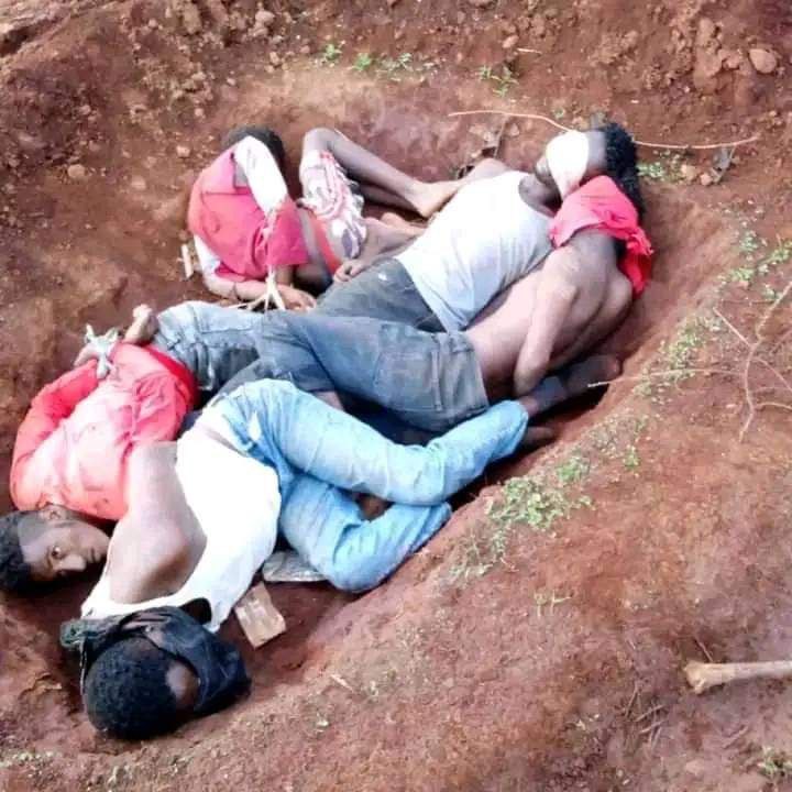 GarbiiB's tweet image. Wallagga Lixaa Qilxu-Kaarraatti PP’n Dargaggoota Kaampii Raayyaa Ittisaa keessatti walitti qabdee bifa kanaan rashantee boolla tokko naqxe.