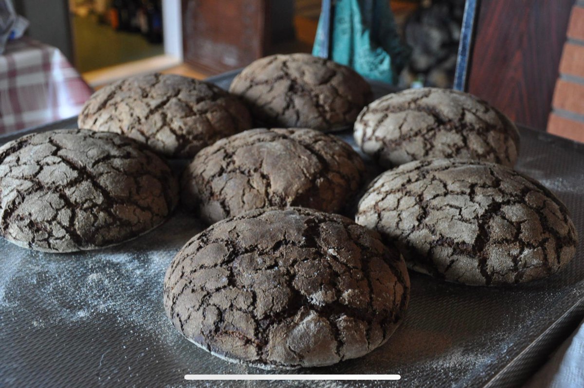 IreneKuhmonen's tweet photo. Tiedätkö miksi Itä-Suomessa on ollut tapana leipoa leipää tiuhaan, kun taas lännessä on leivottu kerralla paljon ja säilötty leipä kuivaamalla? 

Minä en tiennyt, mutta Ulla Koskisen kirjassa Suomessa selviytymisen historiaa ilmiölle tarjotaan selitys. —> https://t.co/lPgdsLIi7c