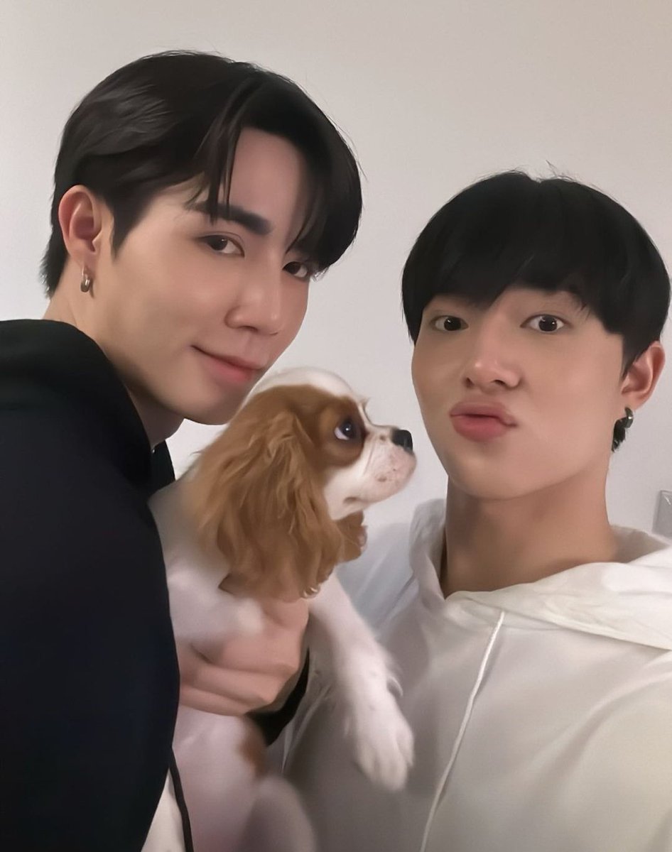 znnism's tweet image. it&apos;s so funny how that dog is in love with nunew exactly like how july is in love with zee