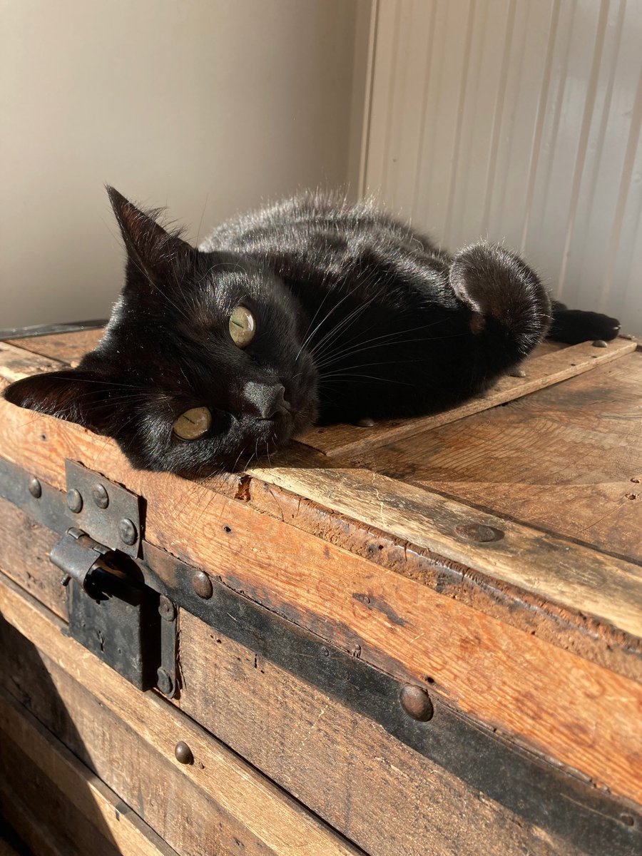 Lucas Fauchille (@Lfauchille) / X