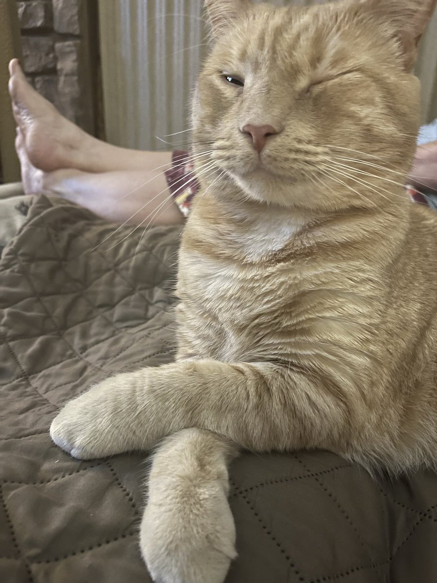 TaylorGiliof's tweet photo. Whenever I’m depressed (often 💓) I look at pictures of my lil son and then I feel less depressed (I should probably be medicated 💓) https://t.co/kLObyKRkrP