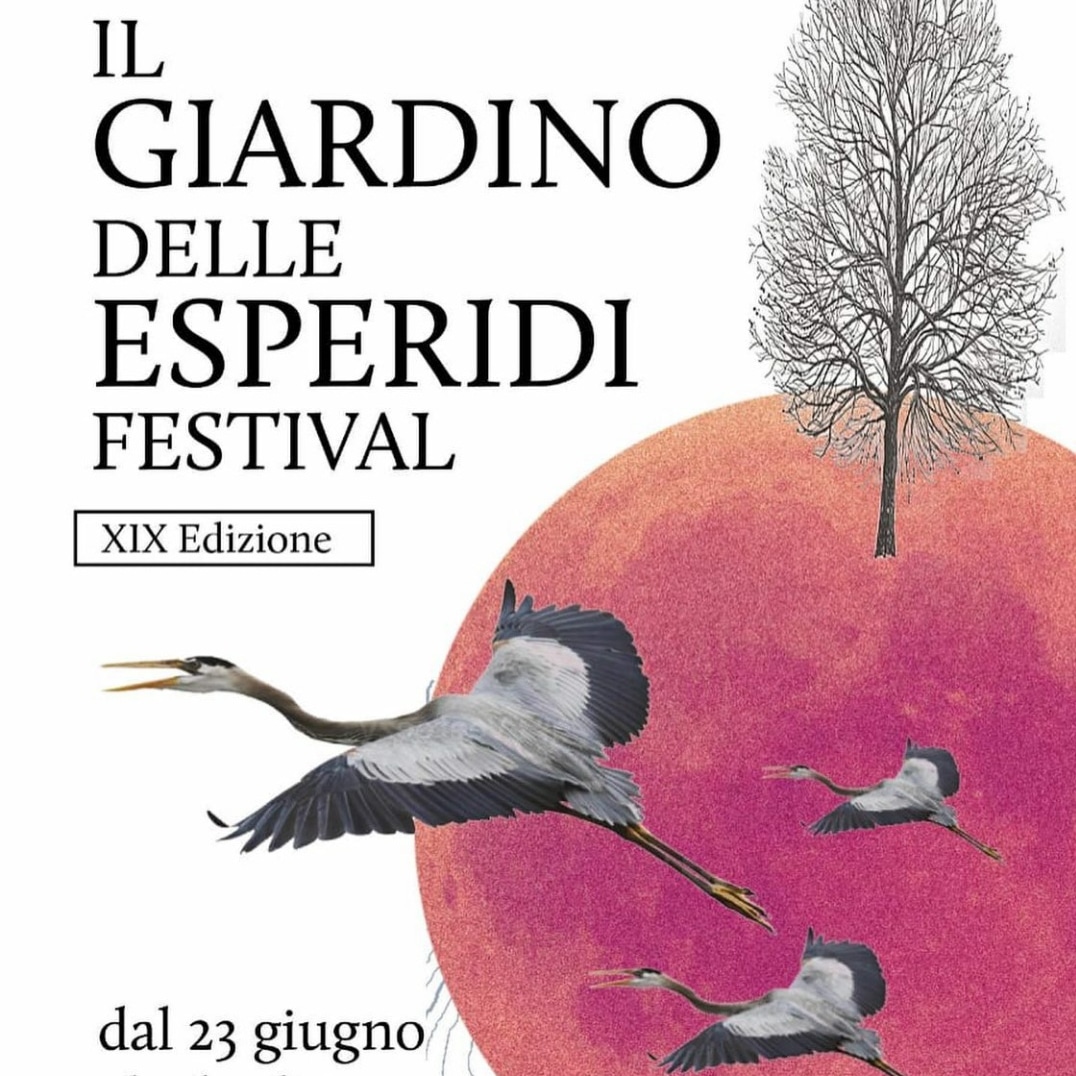 flaminio boni tweet media