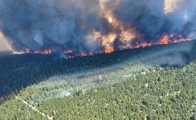 themuncompany's tweet photo. Nature's fiery brushstrokes paint the skies as #wildfires engulf #Canada, sending smoke billowing across borders. The central #US stands witness to this surreal spectacle, reminding us of our shared responsibility to safeguard our environment. #ENVIRONMENTALAWARENESS #globaltemp https://t.co/qV0ULVX8OO
