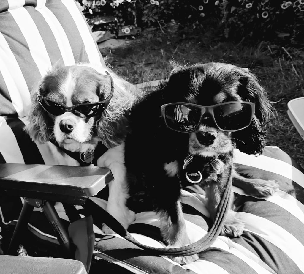 Nice to see Liam and Noel getting along better <a href="/liamgallagher/">Liam Gallagher</a> <a href="/NoelGallagher/">Noel Gallagher</a>  AKA Bert n Ern on Holiday