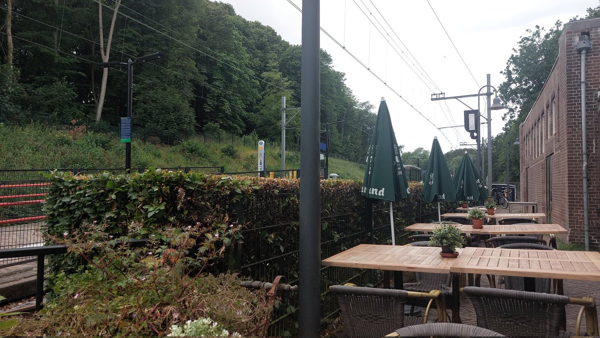 Bollenman tweet media