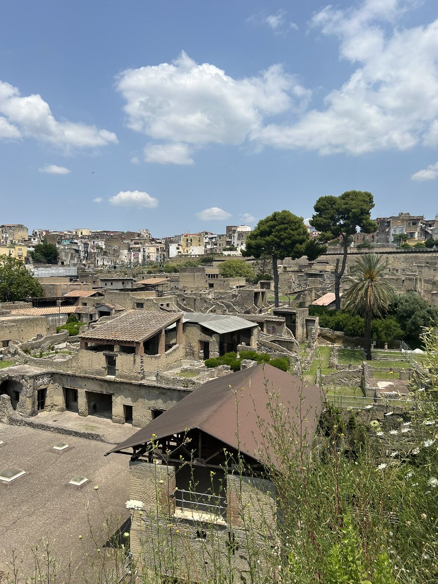 Hannah Crowdy (@hannah_m_crowdy) on Twitter photo Thanks to the wonders of the <a href="/IcomOfficiel/">International Council of Museums (ICOM)</a> card for museum professionals I sailed in free to fascinating, sobering #Herculaneum. Worth joining <a href="/UK_ICOM/">ICOM UK</a> or <a href="/IcomIreland/">ICOM Ireland</a> (or other) for this and many other benefits including networking and training. Thanks to the wonders of the <a href="/IcomOfficiel/">International Council of Museums (ICOM)</a> card for museum professionals I sailed in free to fascinating, sobering #Herculaneum. Worth joining <a href="/UK_ICOM/">ICOM UK</a> or <a href="/IcomIreland/">ICOM Ireland</a> (or other) for this and many other benefits including networking and training.