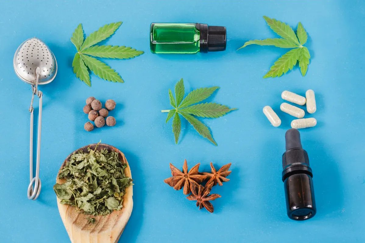 TheSeedConnect's tweet photo. Weed, pot, ganja... Whatever you call it, it's time to look beyond the labels and see the potential of medical cannabis in managing Multiple Sclerosis. Let's get to know the plant behind the name! ๐ฟ๐ก #CannabisNames #MSManagement https://t.co/dnmLeYj6gL