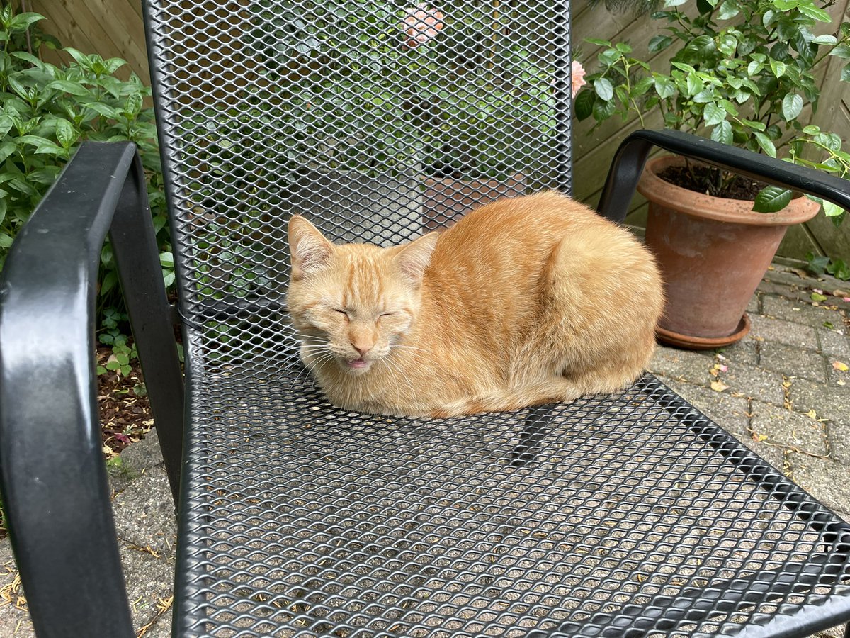 ArminSchubert's tweet photo. @Kandelade And we have a winner. 
Da würde ich auch lieber ins Bad gehen. Mein Herr ist seit Wochen auf Distanz https://t.co/hYuvELOYLf
