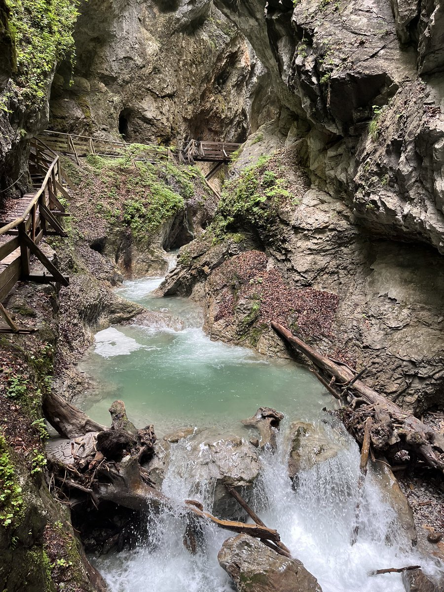 C_Mellenthin's tweet photo. After #EPC23 - Excursion to the Wolfsklamm. Actually walking the « Road to Santiago ». 1/2 https://t.co/AsFtmBZwgT
