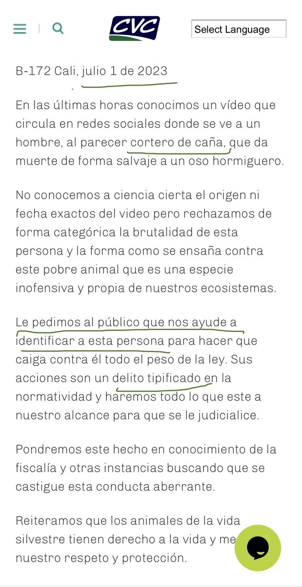 Andrea Padilla Villarraga 🪽🐾 tweet media