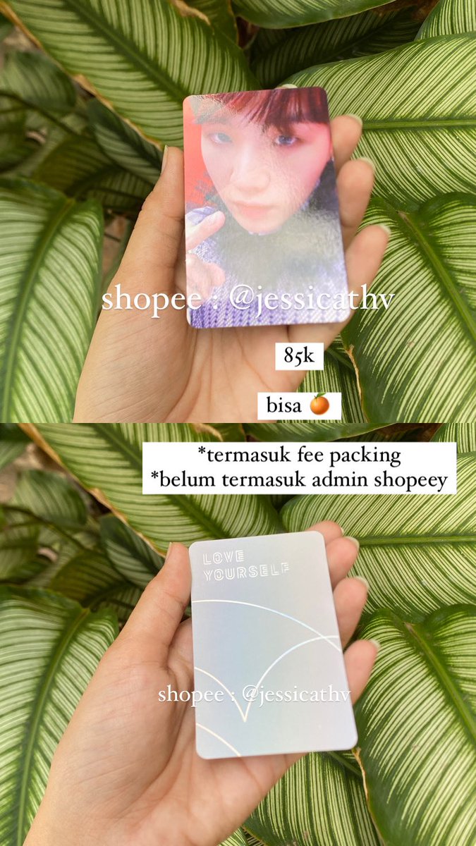 jess tweet media
