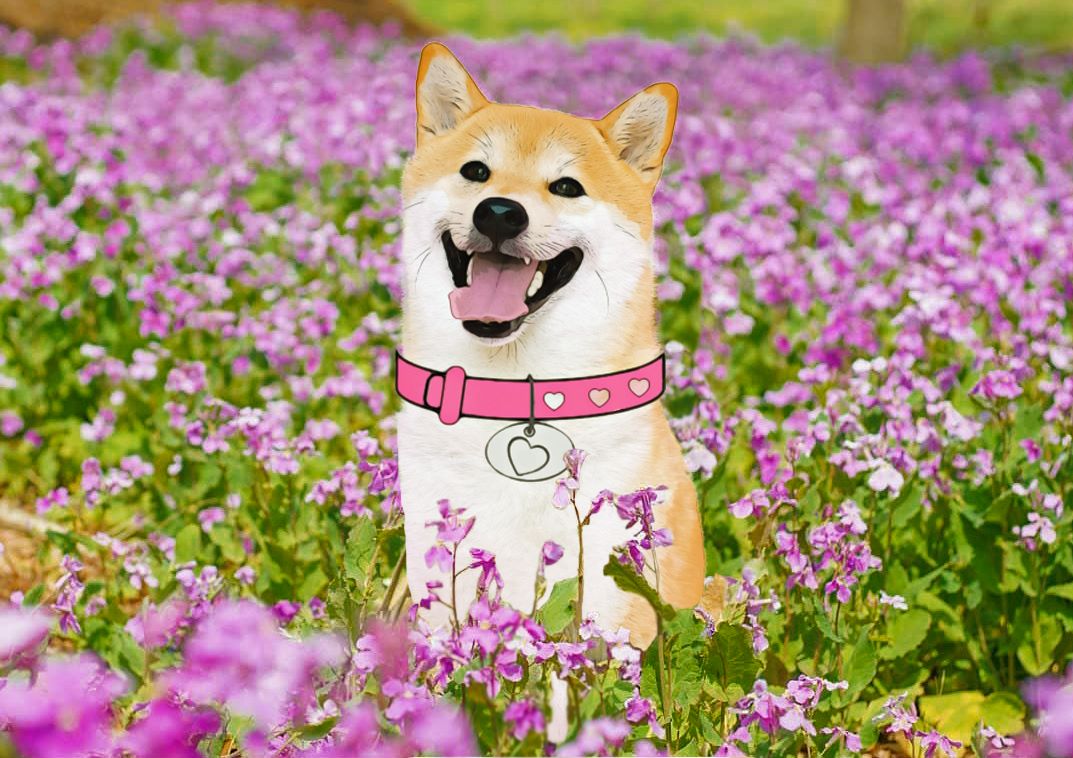 Looking ahead, the future appears remarkably promising:

Exciting. Thriving. Flourishing. 🌟🌟🌟

#BrightHorizons #KindGestures $DogeGF