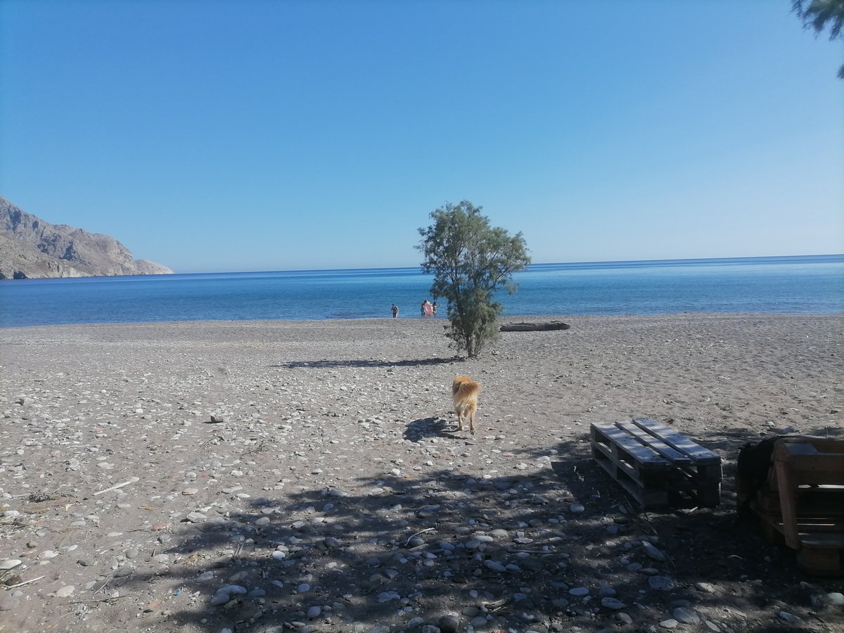 On Eristos beach, Tilos, today