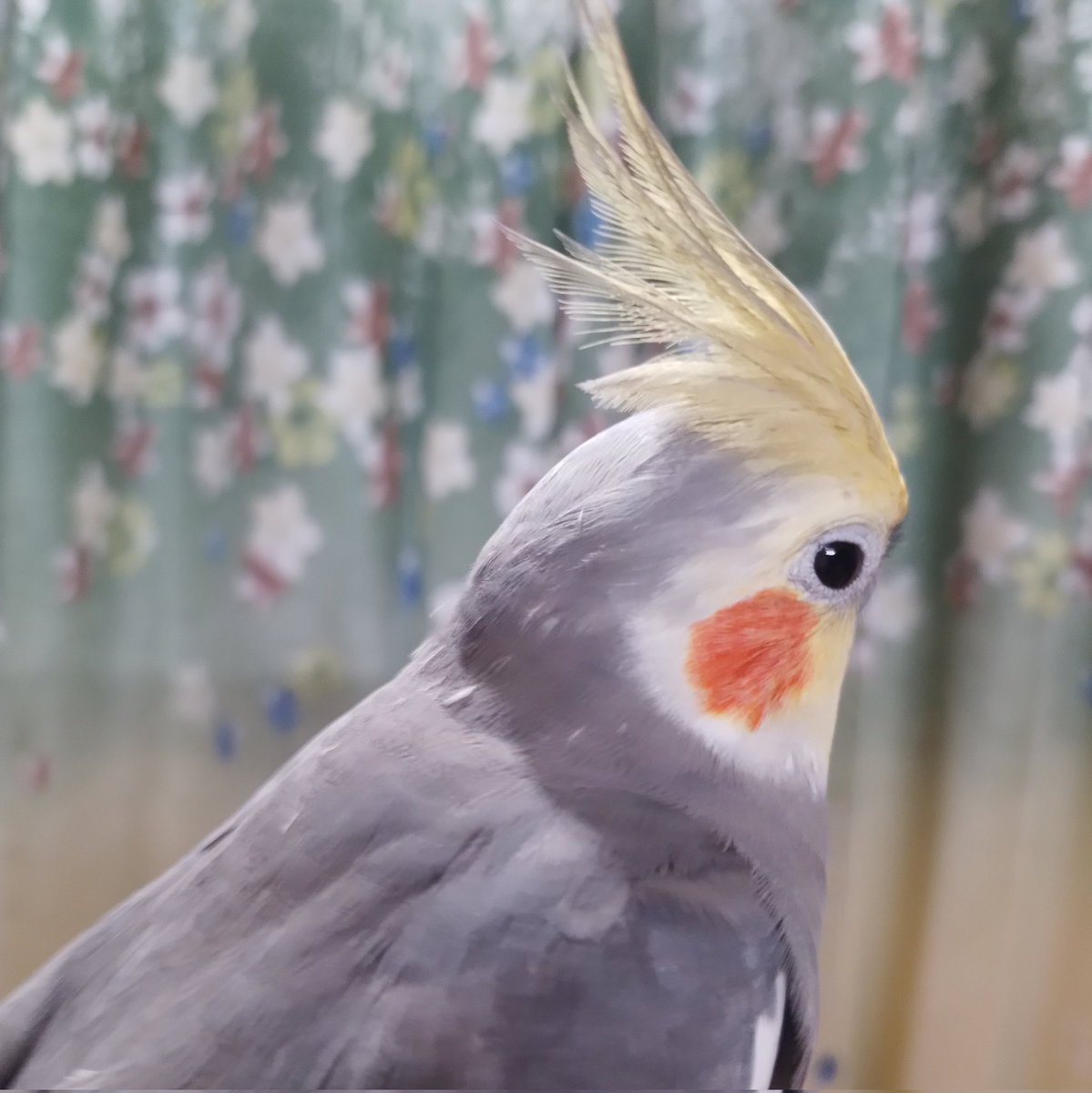 #NewProfilePic