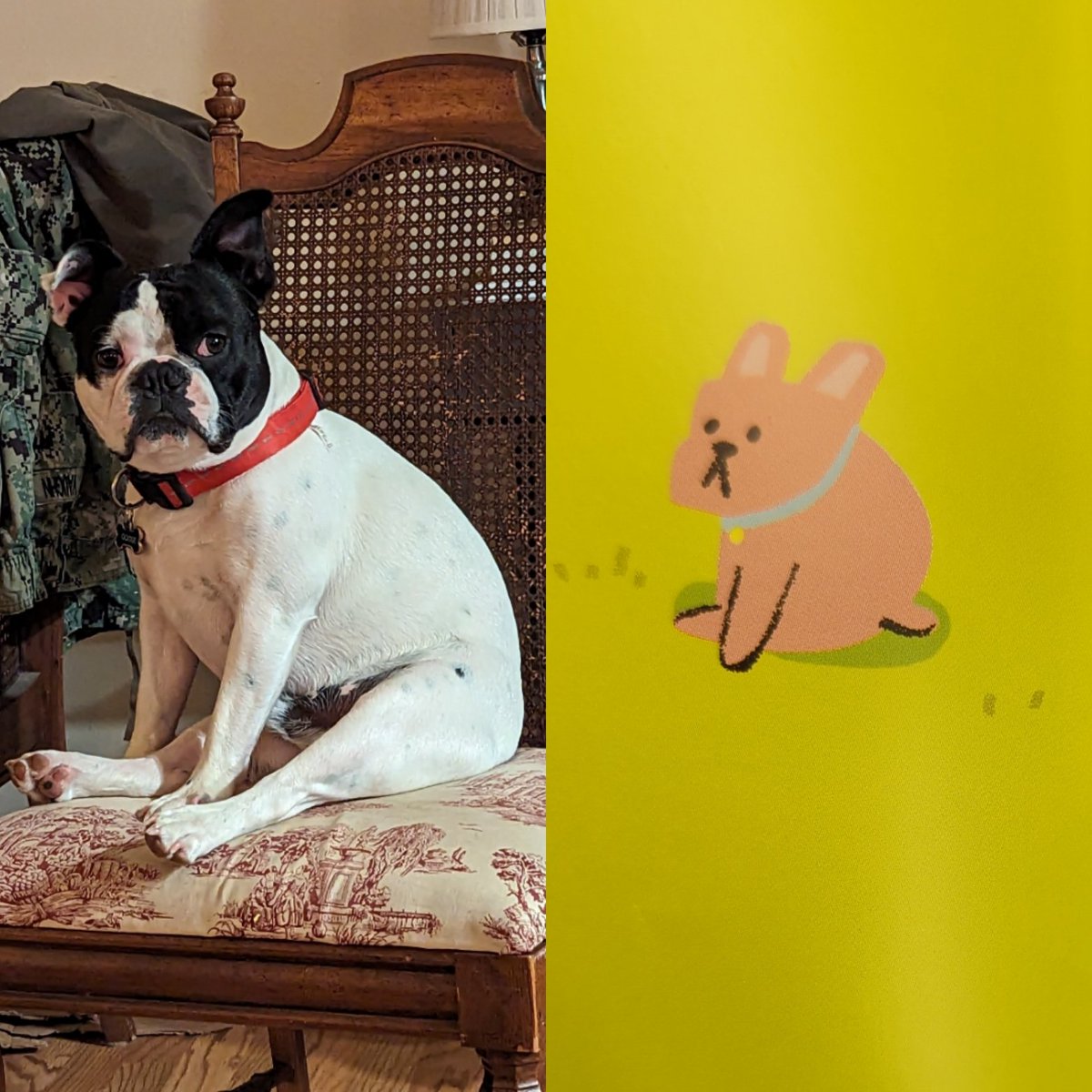 HauntedJen's tweet image. The Frenchie "sit" is Goose's superpower.

Art from the picture book SALLY'S BIG DAY, written by Andrew Larsen and Illustrated by Dawn Lo.