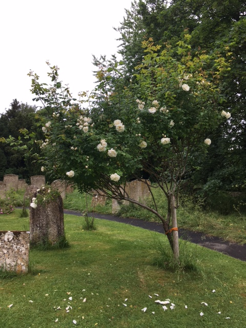 St Mary's Southwick tweet media