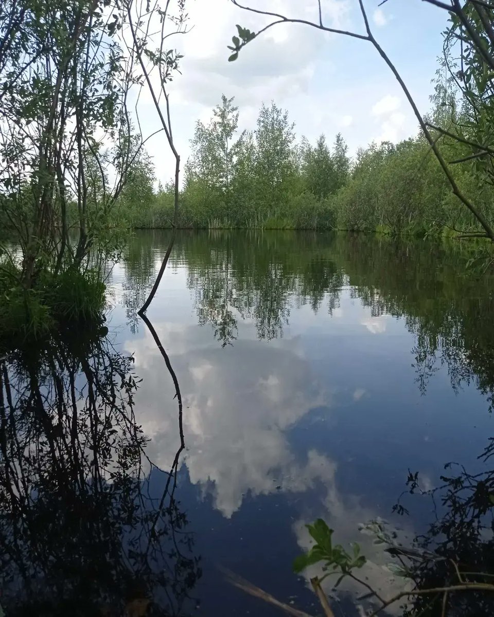 Марья tweet media