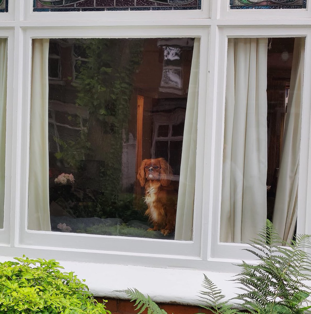 WindowAnimals's tweet photo. https://t.co/LmNy4mzBKH