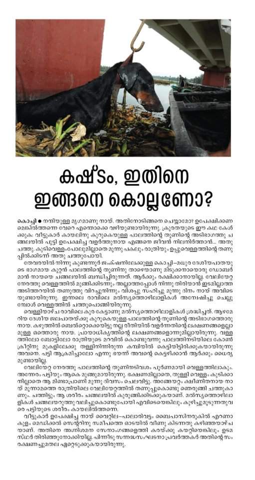 Bratin_Ahimsha's tweet photo. Rt plz. Keralites, let's use our brain, not weapons! Enough of this barbaric ignorance. #StopKeralaKilling and let's be empathetic to all kinds of life on every Stray Dogs. @CMOKerala https://t.co/6yC79cSoHc