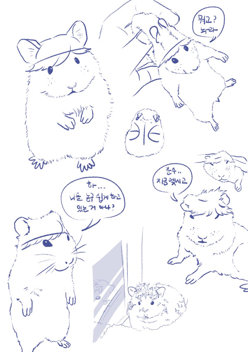 야채 tweet media