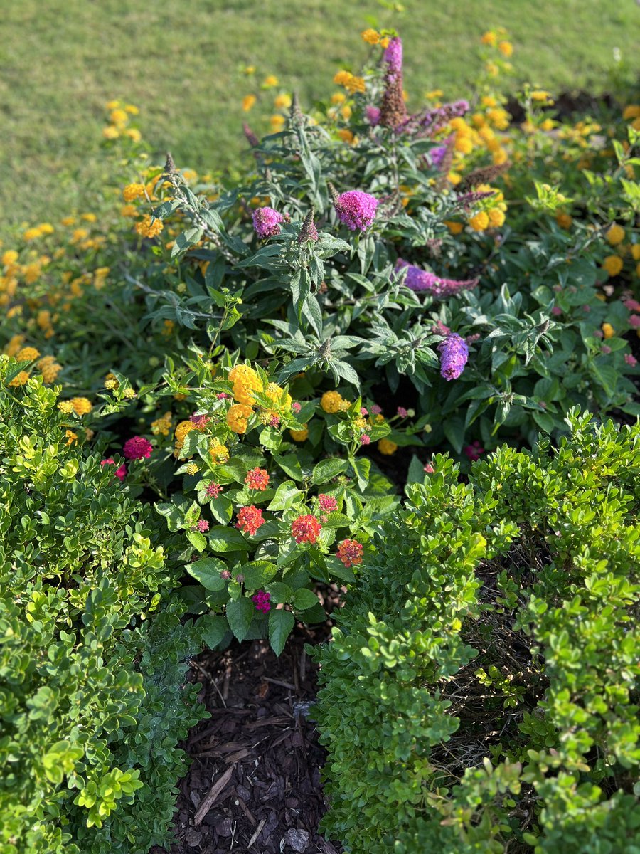 Dr. Jan Irons Harris (@janiharris) on Twitter photo 