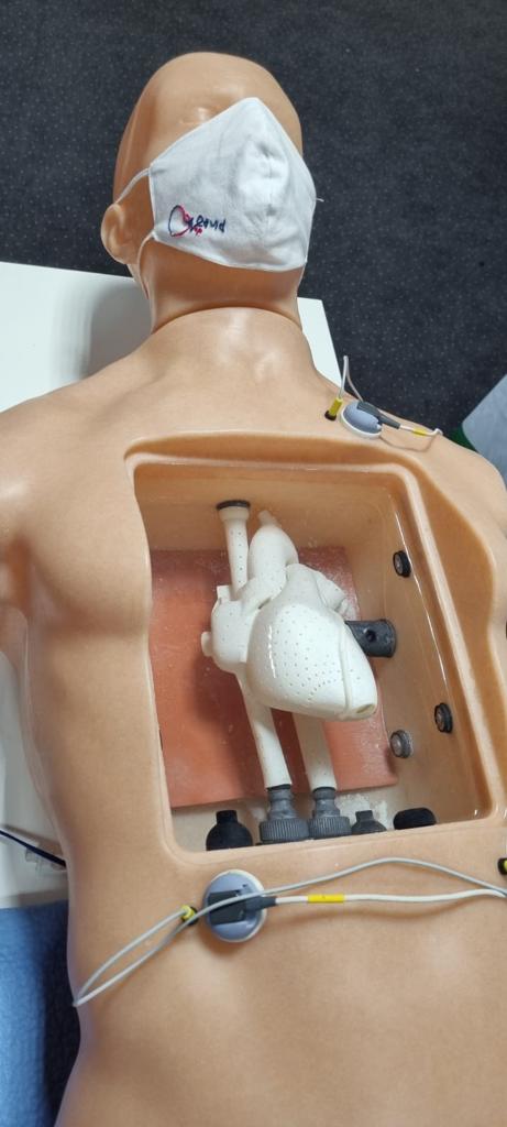 LehrmannHeiko's tweet photo. Erster AGEP Intensivkurs Elektrophys im @UHZ_UNIFreiburg in Bad Krozingen. Danke Maxim @cardioschool für die tolle Live-Herzanatomie-Demo; an @BiosenseWebster für die Simulatoren: "David“, Transseptal und „WetLab“ sowie @Mentice für den ICE-Simulator. @AGEP_DGK @DGK_org @YoungDgk https://t.co/RrdQ48SBIi