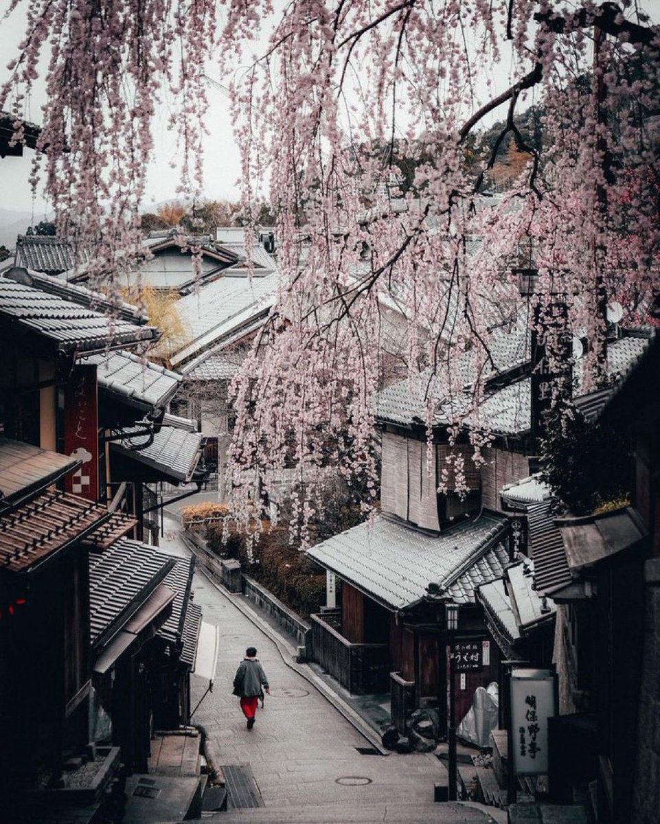 𝖲𝗉𝗋𝗂𝗇𝗀 𝖲𝖾𝖺𝗌𝗈𝗇 𝗂𝗇 𝖪𝗒𝗈𝗍𝗈
𝖯𝗁𝗈𝗍𝗈 𝖻𝗒 ©︎ 𝖠𝗋𝗂𝗆 𝖲𝖺𝖽𝖺