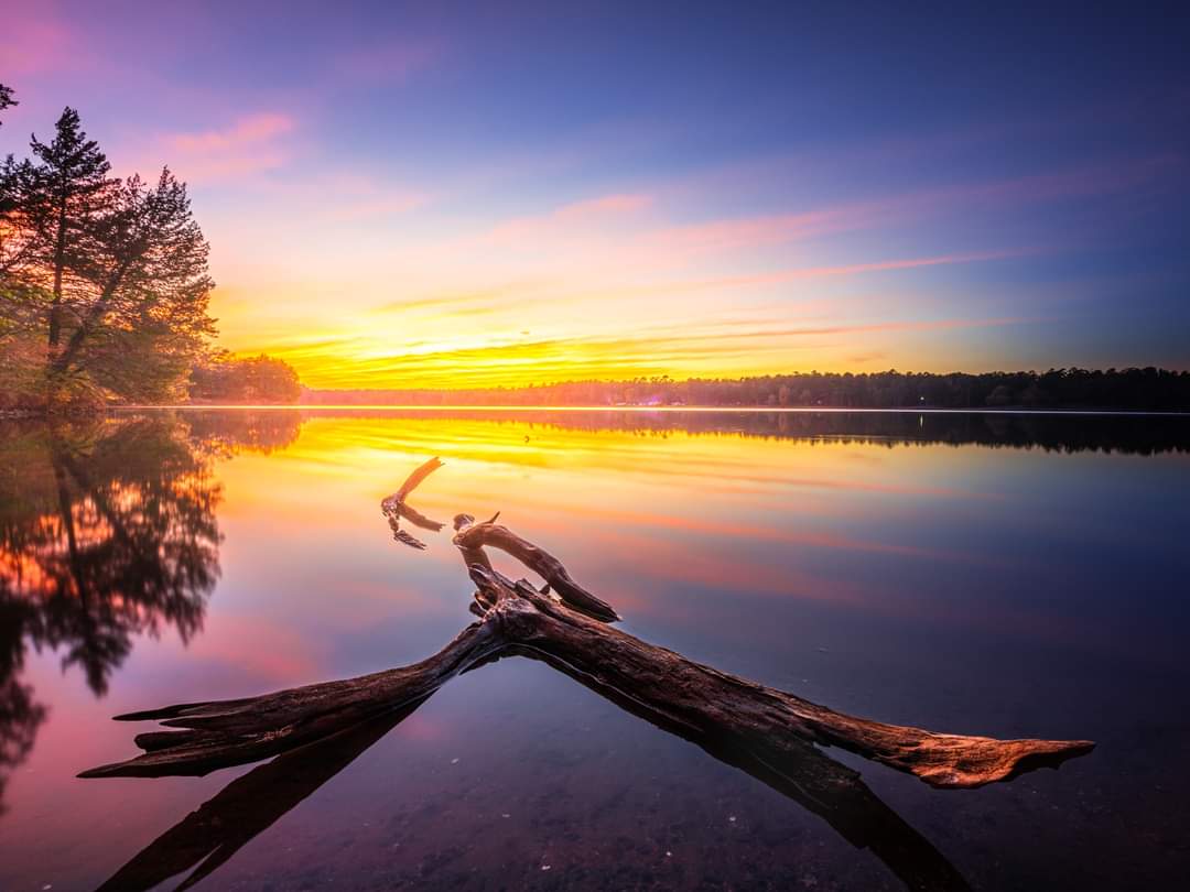 Driftwood At The Lake
jordanhillphotography.com/featured/drift…

#davislake #lake #lakeview #nature #pic #photooftheday #photography #outdoors #outdoorphotography #photographer #art #mississippi #mississippioutdoors #fishing #fishinglife #lakehouse #AYearForArt #photographer #BuyIntoArt