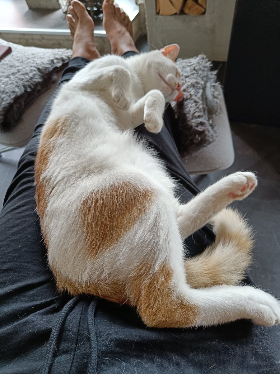 wissischnit's tweet photo. Anderthalb Stunden. So langsam meldet sich meine Blase. https://t.co/TlsBDNubRu