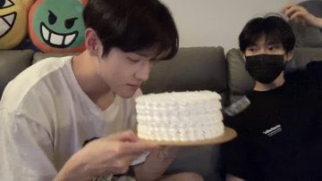 소나무 tweet media