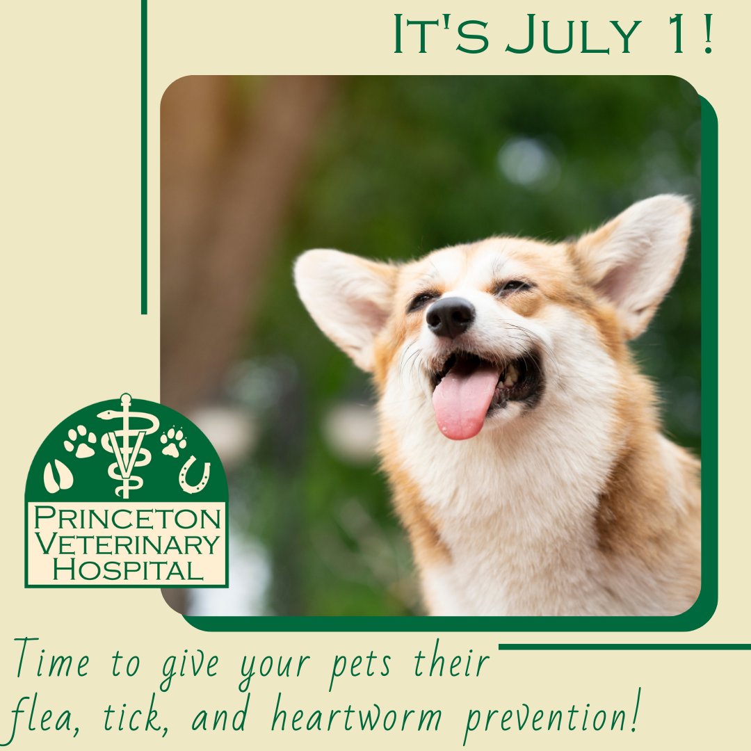 Princeton Veterinary Hospital tweet media