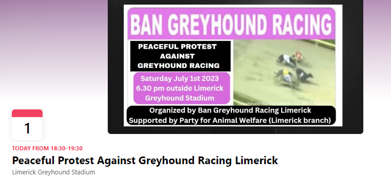 AnimalPartyIE's tweet photo. DON'T FORGET! Anti-greyhound racing protests tonight 💪: #LimerickCity #dogtrack, 18.30 pm #RTW
https://t.co/nEn2UuGugF
#CorkCity #Curraheen dog track, 18.30 pm
https://t.co/YlLO51A1pz #RSVP
#YouBetTheyDie #BanGreyHoundRacing
@banbloodsports https://t.co/hfXITVcepU