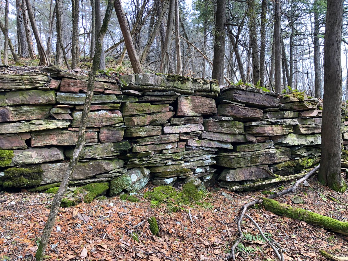 What does this stonework in Vermont have to do with Lord & Taylor Department Store in Manhattan? Check out my new video, premiering this morning at 10am, and find out...
https://t.co/x6qJSNuZIS https://t.co/IkfDhEprLt