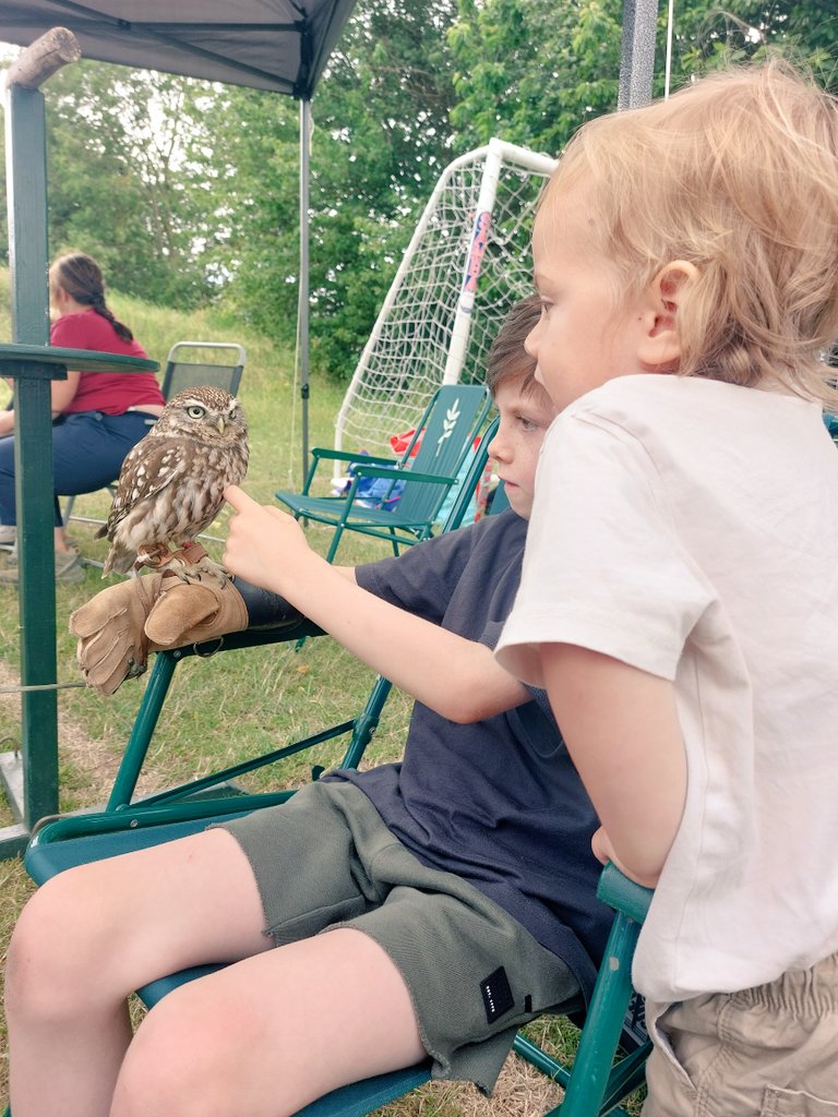 LauraHSW2's tweet photo. Great afternoon @PfieldPrimary - thank you 💛 https://t.co/64N8OyCN1C